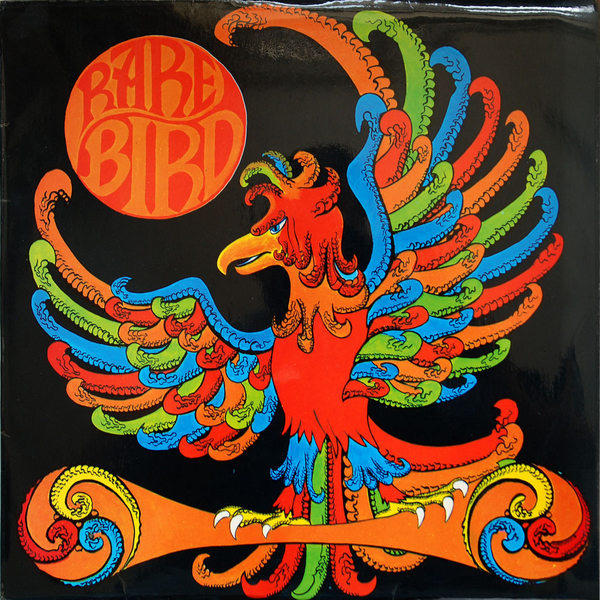 Rare Bird Rare Bird
