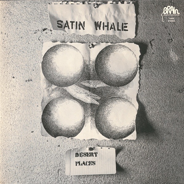 Satin Whale Desert Places