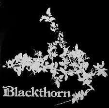 Blackthorn Blackthorn