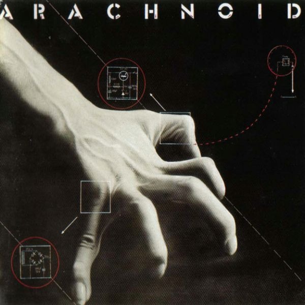 Arachnoid Arachnoid