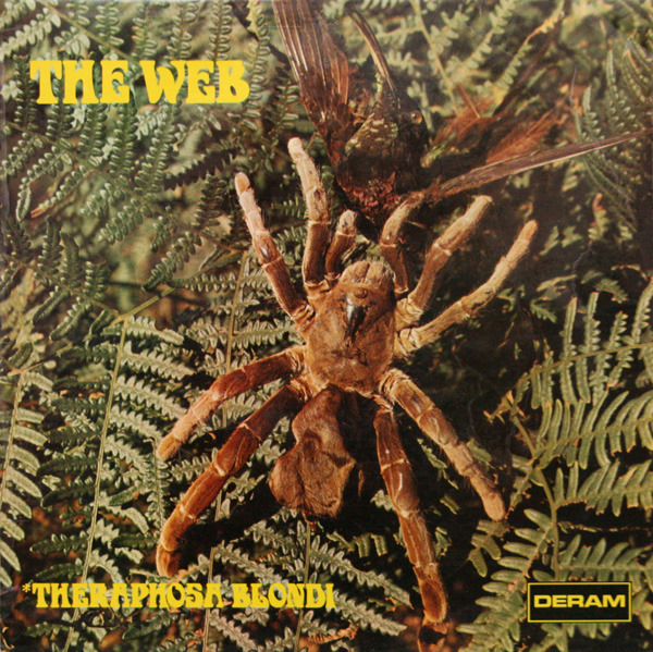 The Web Theraphosa Blondi