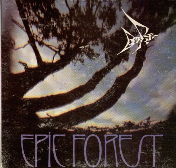 Rare Bird Epic Forest