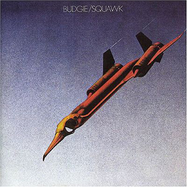 Budgie Squawk