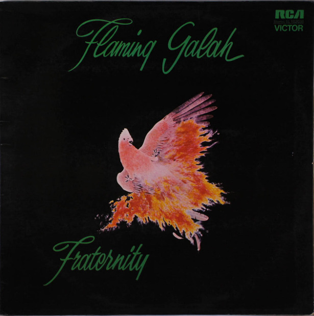 Fraternity Flaming Galah