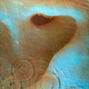 Pink Floyd Meddle