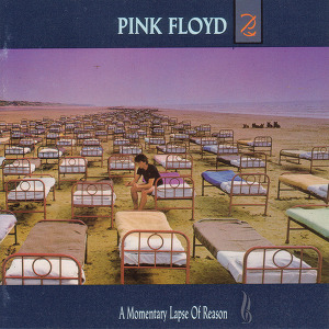 Pink Floyd A Momentary Lapse Of Reason