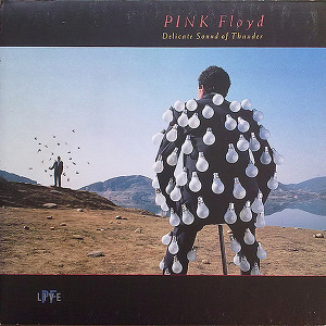 Pink Floyd Delicate Sound Of Thunder