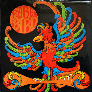 Rare Bird Rare Bird