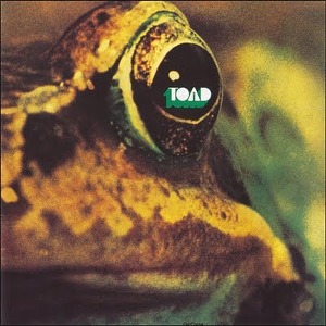 Toad Toad