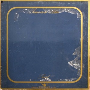 Toad Tomorrow Blue