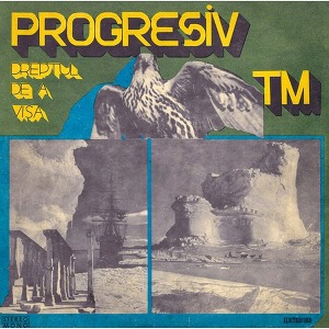 Progresiv TM Dreptul De A Visa