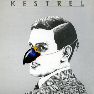 Kestrel Kestrel