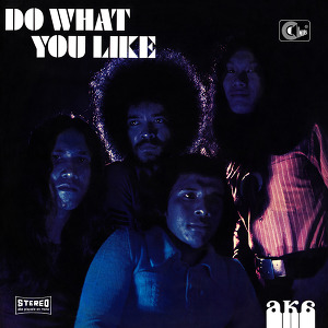 AKA Do What You Like