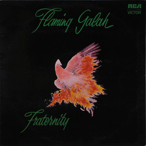 Fraternity Flaming Galah